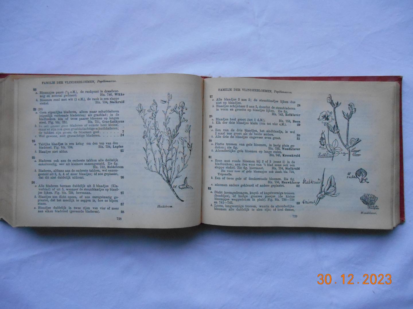 Heimans, E. , H.W. Heinsius en J.P. Thijsse - Geïllustreerde flora van Nederland