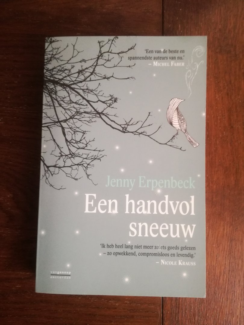 Erpenbeck, Jenny - Een handvol sneeuw