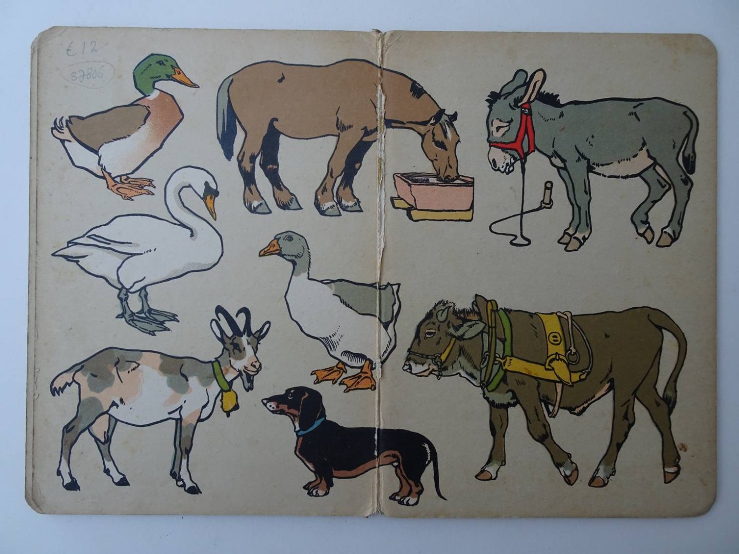 N.n.. - Zonder titel. Boekje met illustraties van dieren.