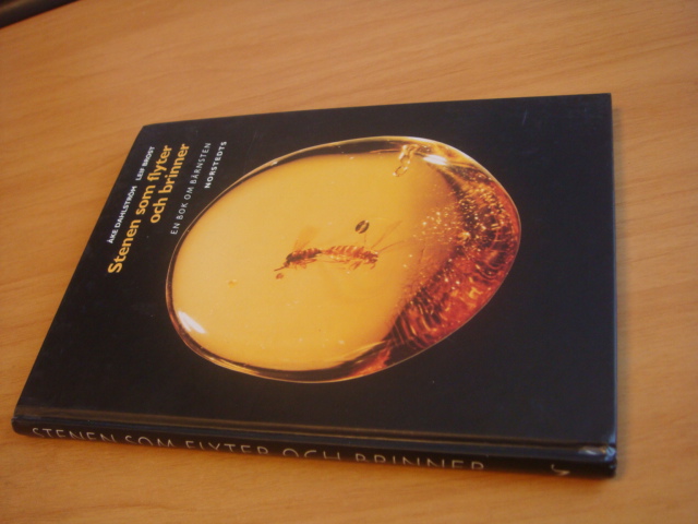 Leif Brost & Ake Dahlstrèom - Stenen Som Flyter Och Brinner - En Bok Om Barnsten