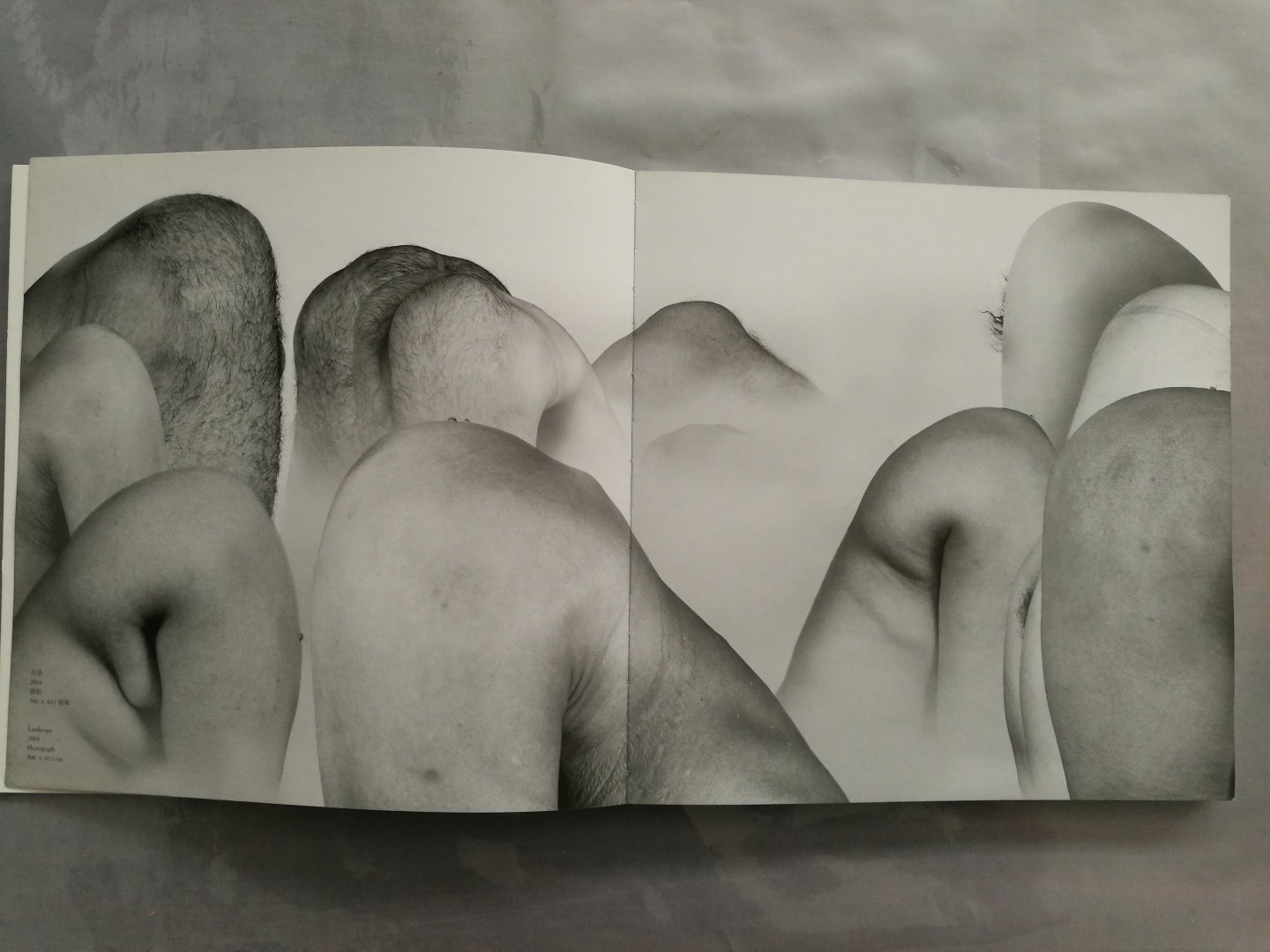 Waling Boers (Ed.) Pi Li, Philip Tinari, Gao Shiming - LIU WEI 刘韡  2006-2007
