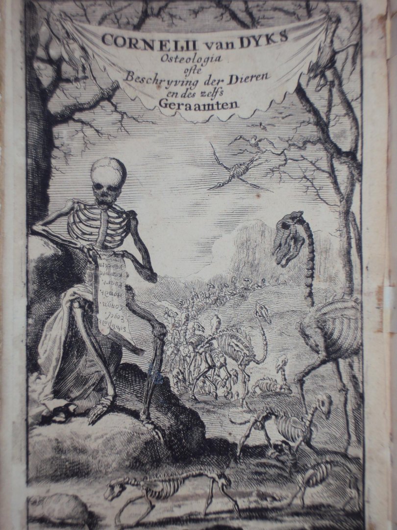 Cornelius van Dyk - Osteologia of nauwkeurige geraamt beschryving van verscheyde dieren