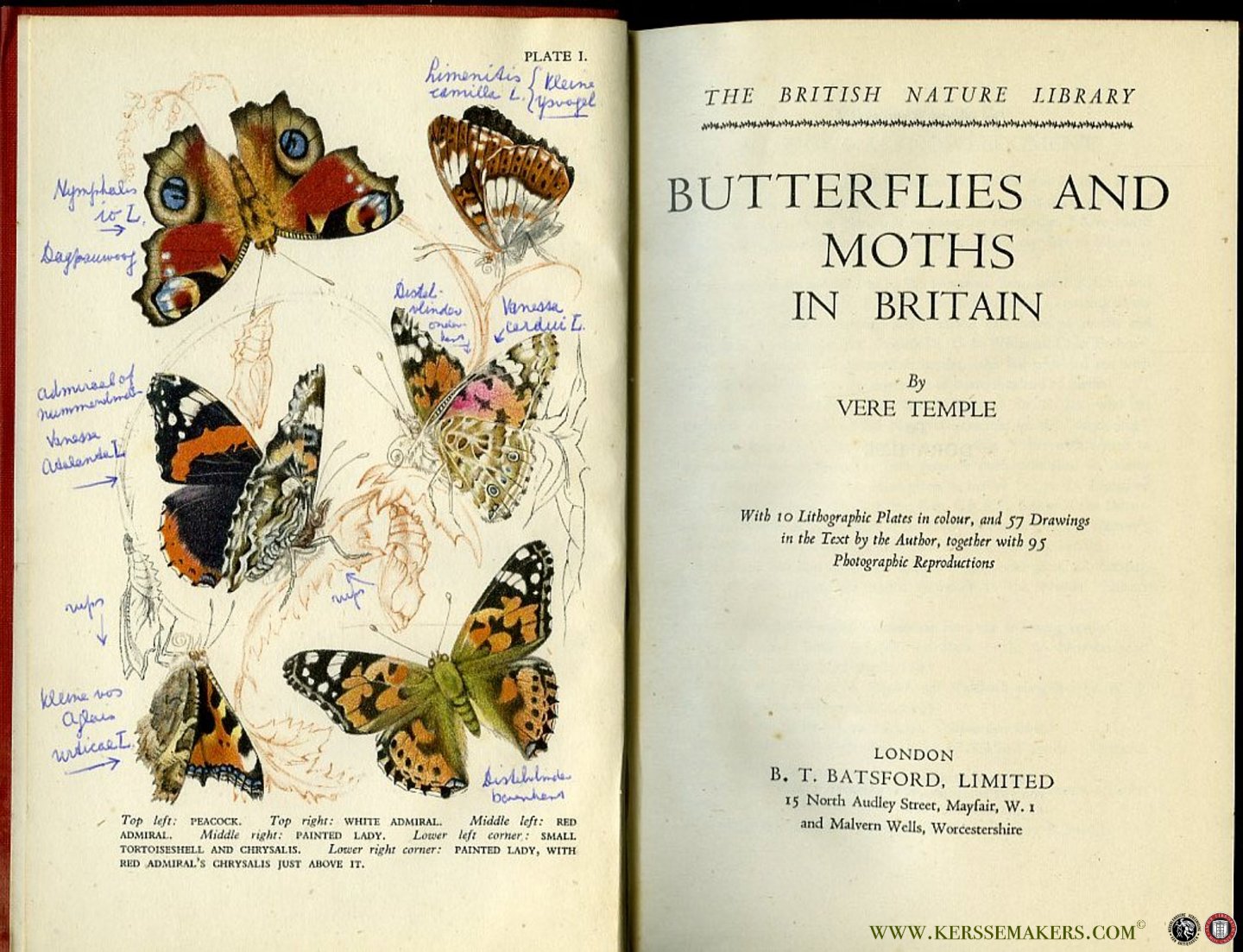 TEMPLE, Vere - Butterflies and Moths in Britain. With 10 Lithographic Plates in colour, and 57 Drawings in the Text by the Author, together with 95 Photografic reproductions.