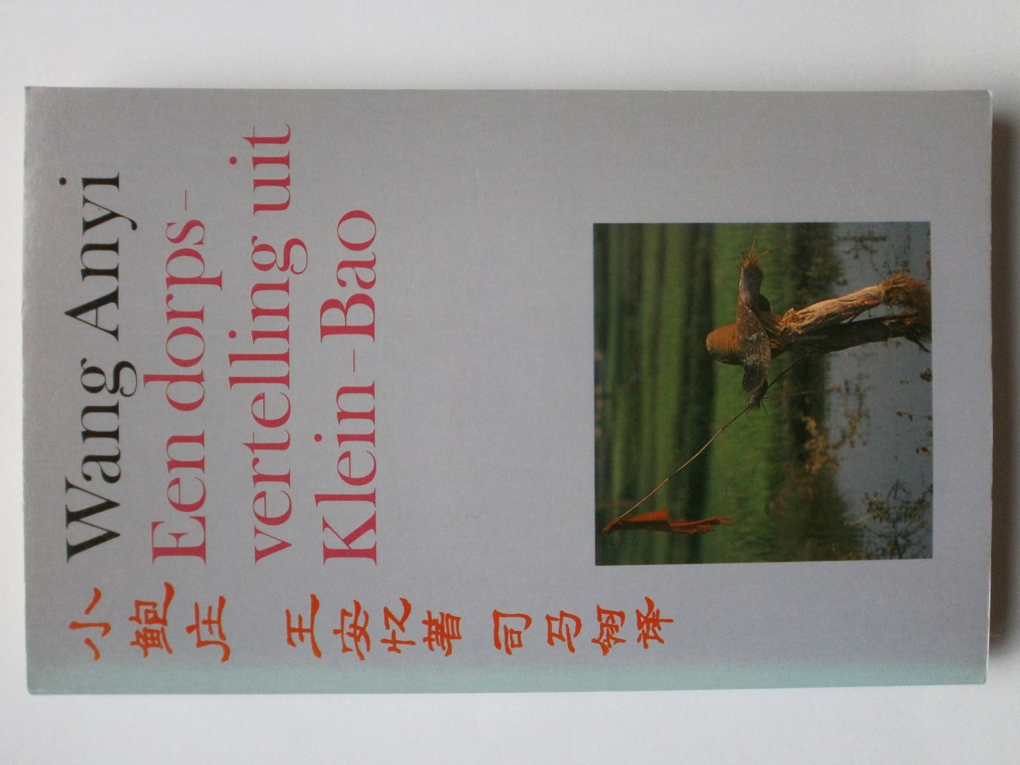 Wang Anyi (China) - Een dorpsvertelling uit Klein-Bao