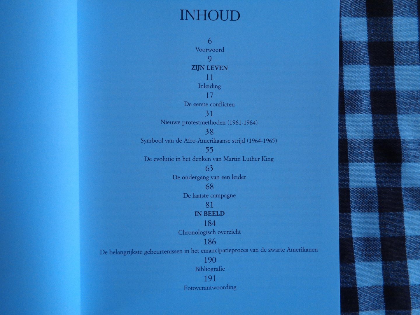 anneke drijver - martin luther king