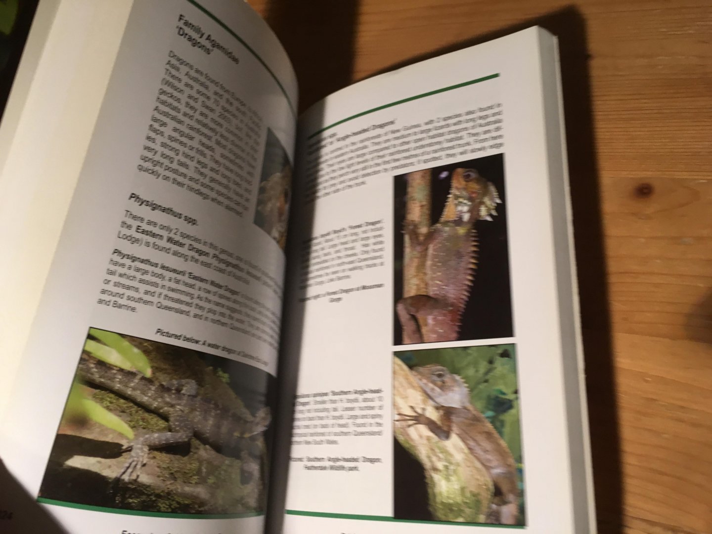 Ramsey, Damon - Rainforest of Tropical Australia - Ecosystem Guides - 2nd ed