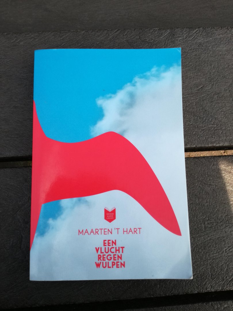 Hart, Maarten 't - Een vlucht regenwulpen (Grote letterboek)
