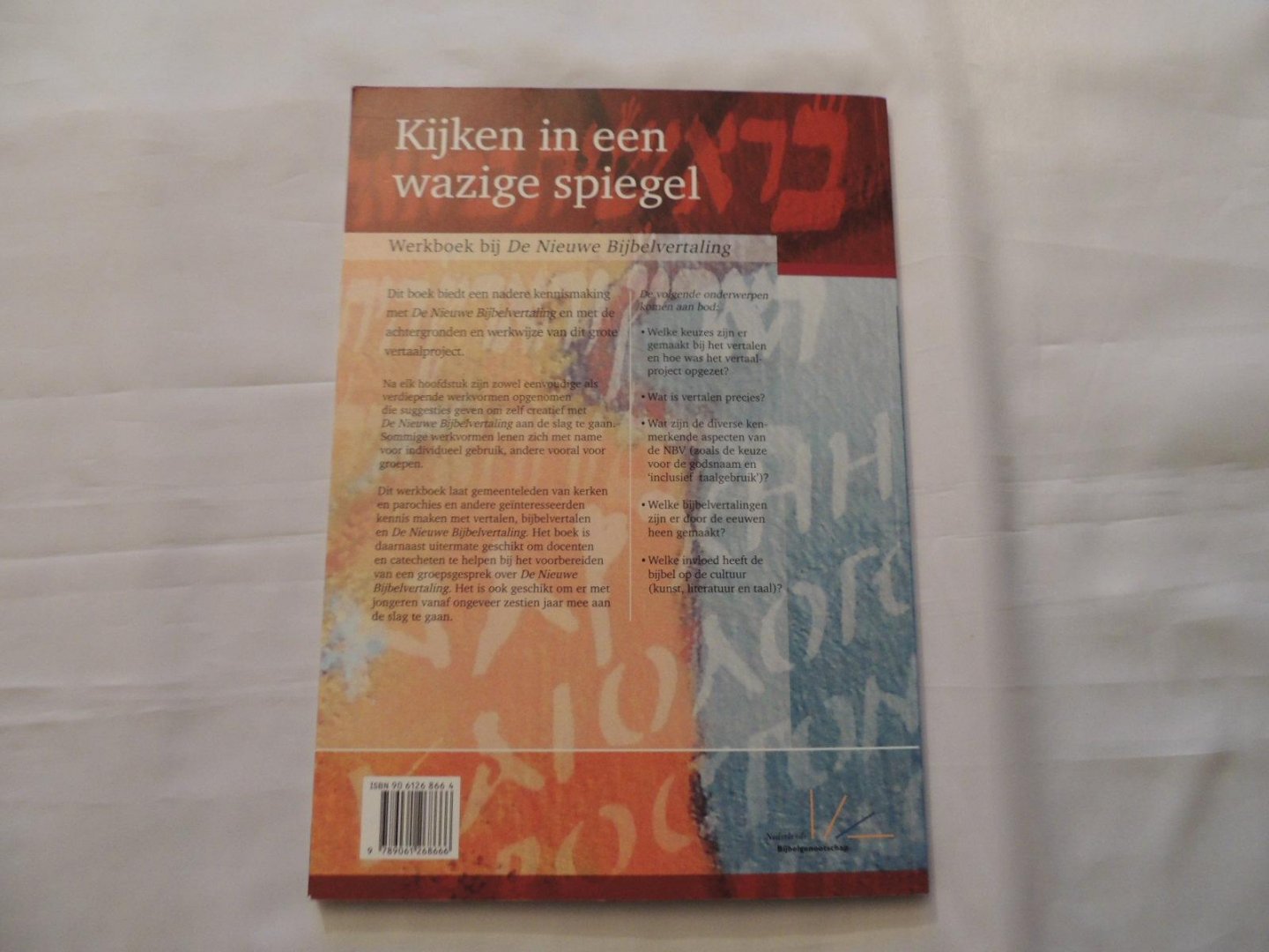 Berg, Anne Jaap van den - Kijken in een wazige spiegel - Werkboek bij de Nieuwe Bijbelvertaling
