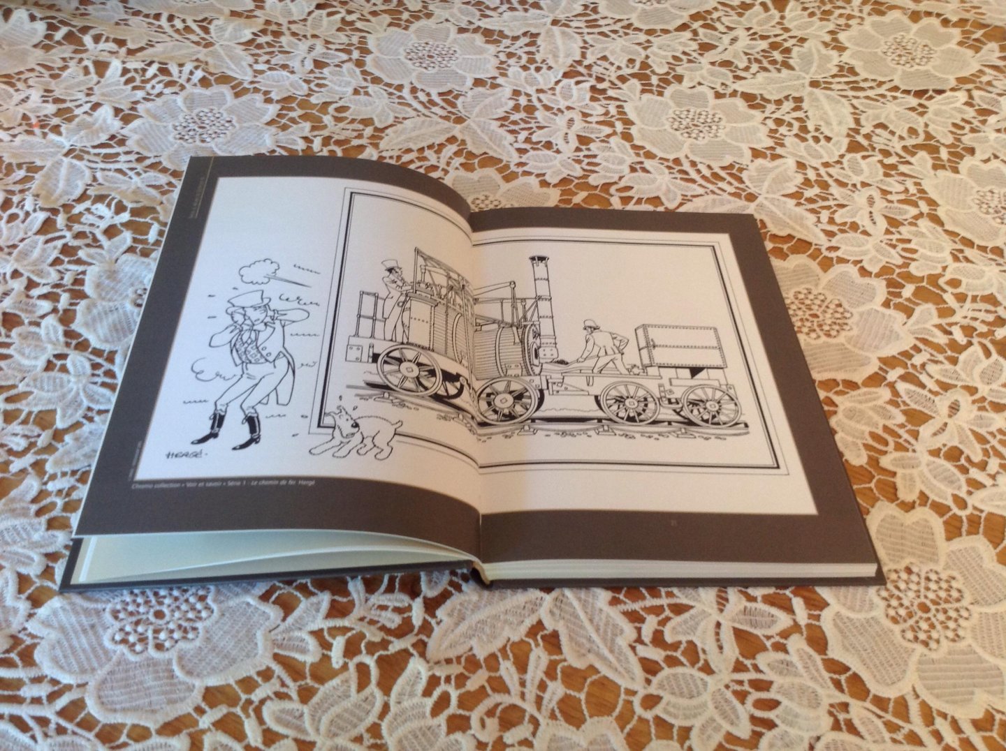 Pierre Stephany - L'Histoire de la Belgique au fil de la BD De 1830 à nos jours