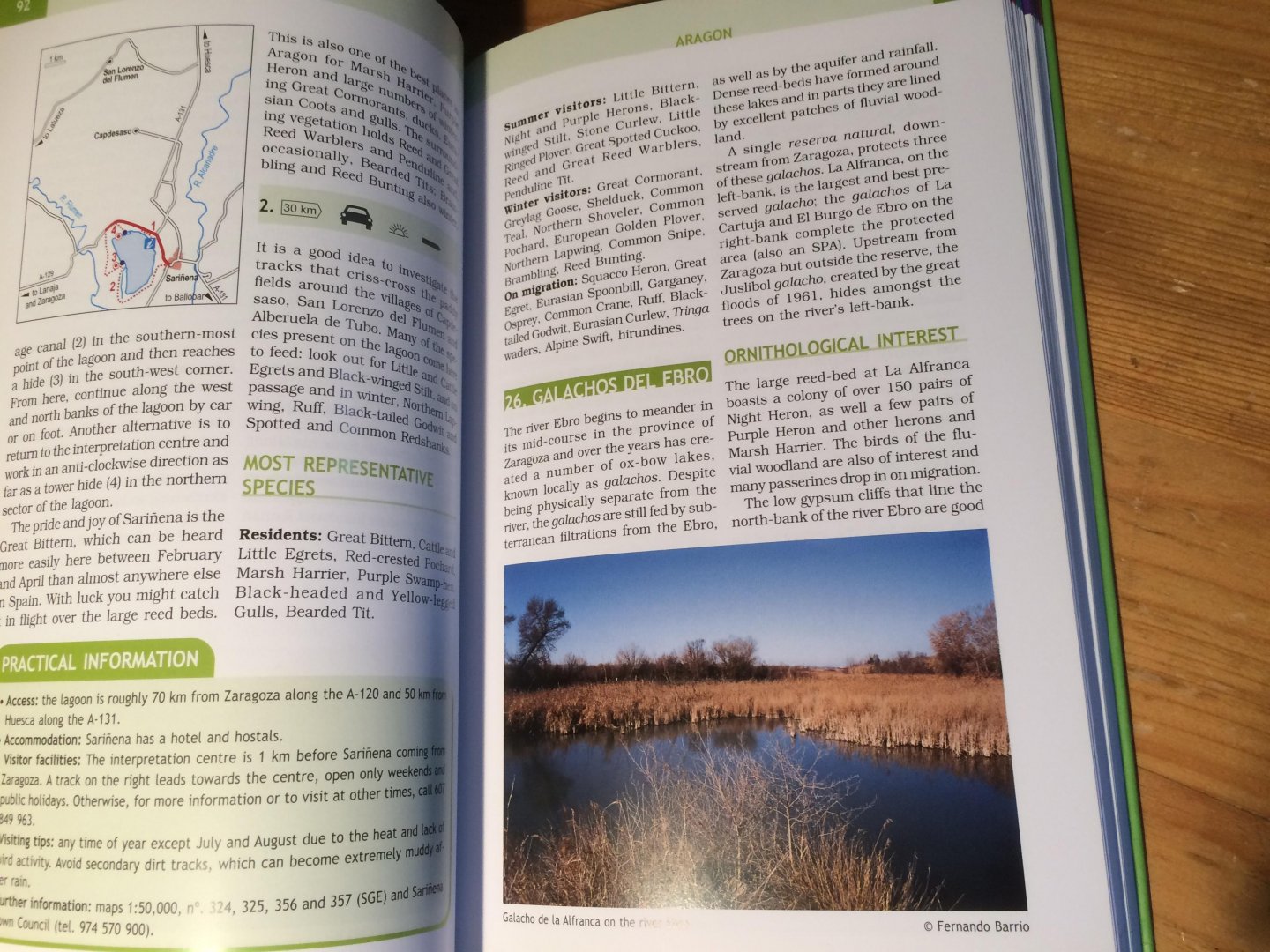 Montero, JA - Where to watch birds in Spain - the best 100 sites