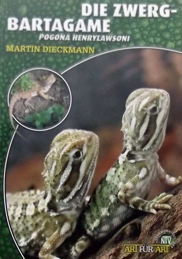 Dieckmann, Martin - Die Zwergbartagame / Pogona Henrylawsoni