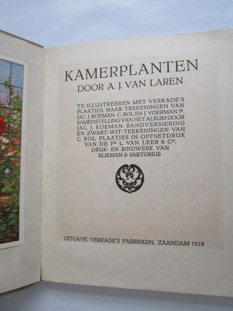 Laren, A.J. van - VERKADE 1928; Kamerplanten