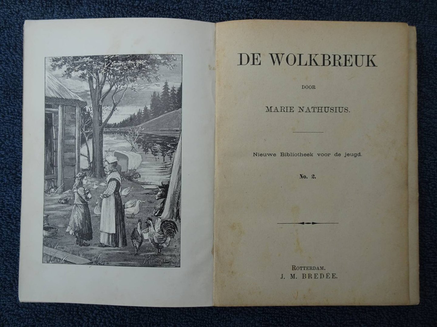 Nathusius, M.. - De Wolkbreuk. Nieuwe Bibliotheek voor de Jeugd, no. 2.