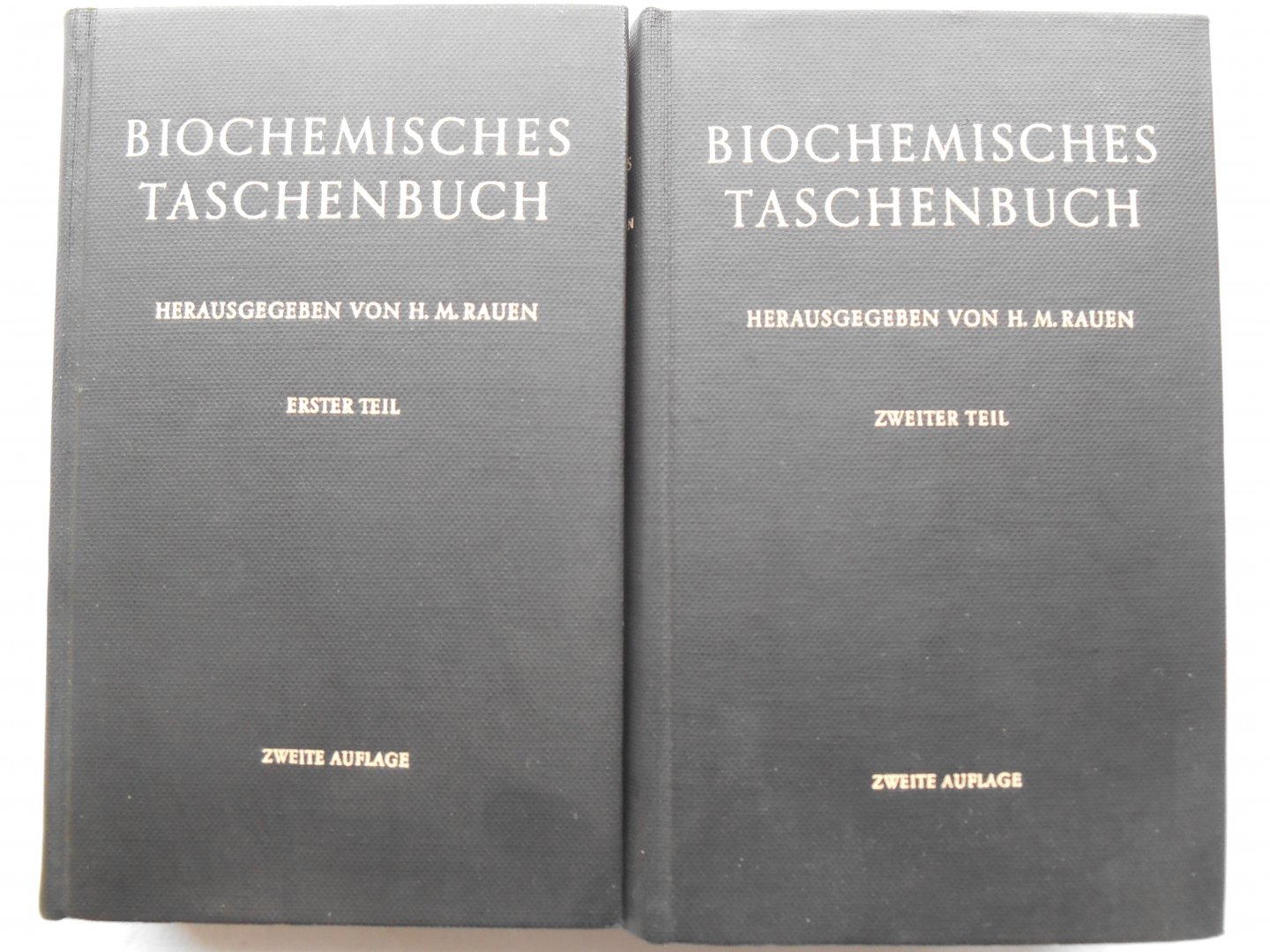 Rauen, Prof. H. M. - Biochemisches Taschenbuch. Zweiter Teil