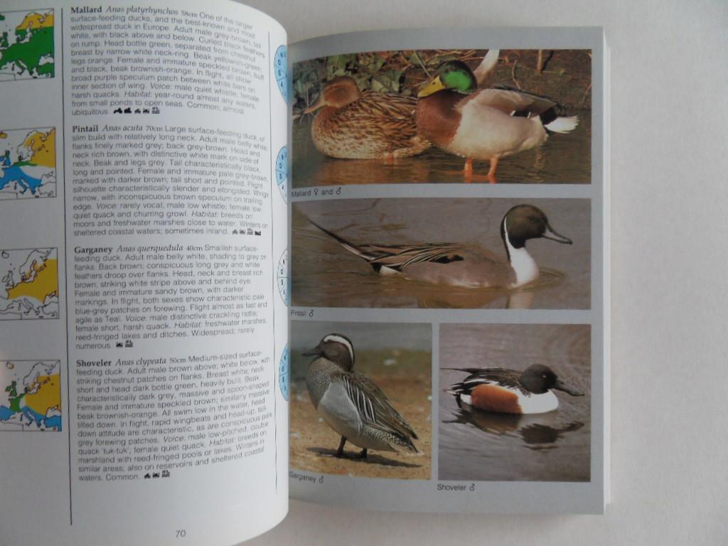 Flegg, Jim. [ Photographs by David Hosking ]. - Photographic Field Guide Birds of Britain and Europe.