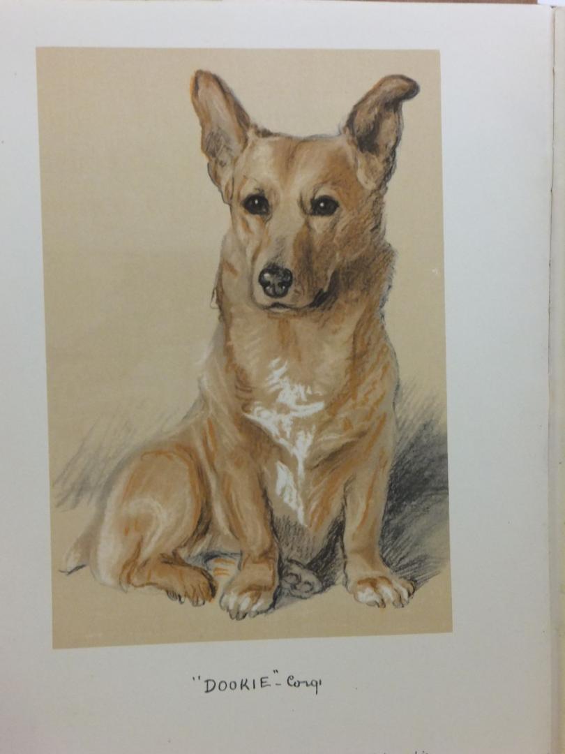 Dawson, Lucy - LUCY DAWSON'S DOG BOOK - With Fifteen Dog Studies in Colour