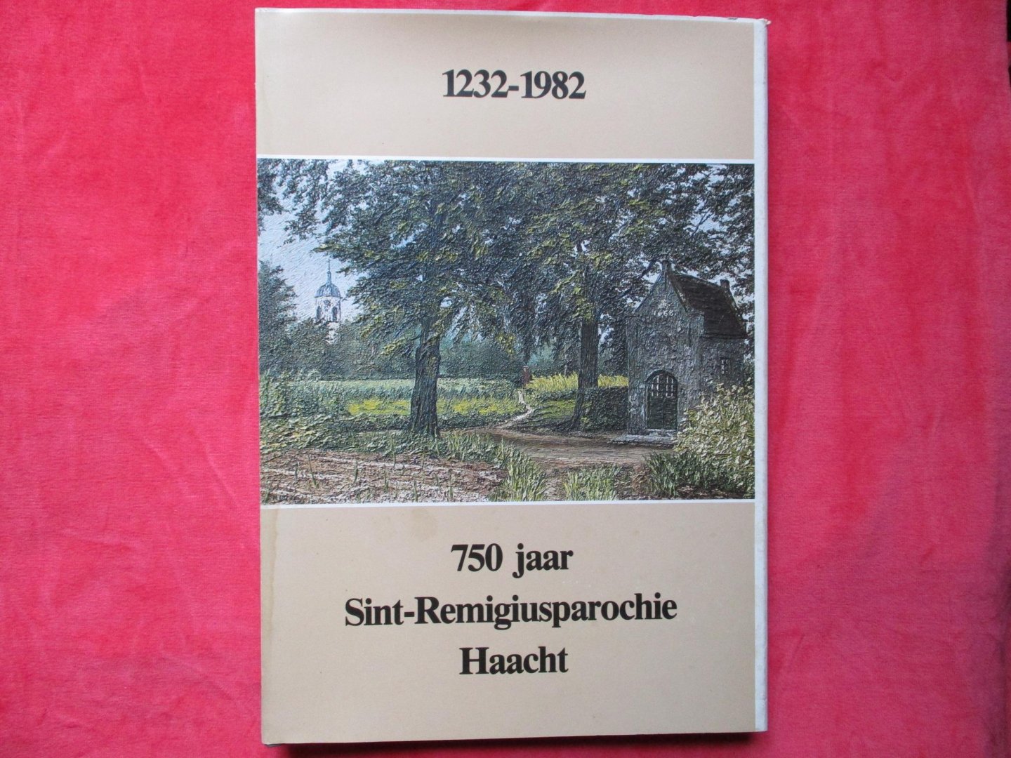 Cools, Jos & André Van Aerschot - 750 jaar Sint-Remigiusparochie Haacht. 1232-1982.
