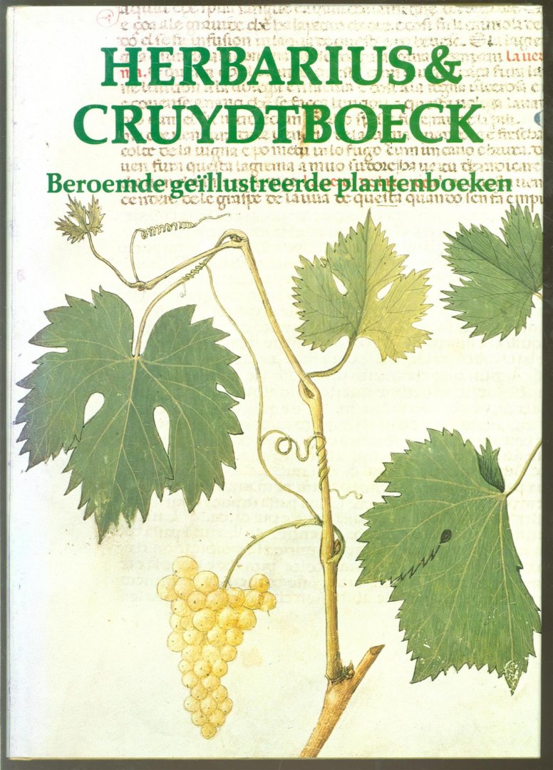 Blunt, Wilfrid, Raphael, Sandra - Herbarius & cruydtboeck : beroemde geïllustreerde plantenboeken