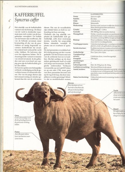 Honders, J .. Zuidermeer en de redactie The Reader's Digest - Boomsavannen .. Uit de serie  Dieren in het wild .. Inhoud : Cobra's - Kangoeroes - Zebra's - Kafferbuffel - Bavianen - Aasgier - Panter - Hoelman.