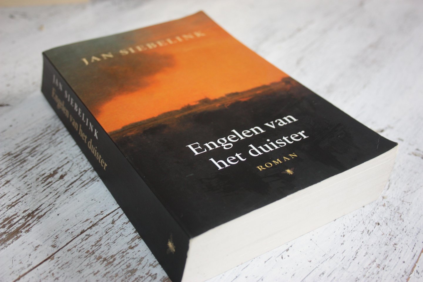 Siebelink, Jan - DE ENGELEN VAN HET DUISTER