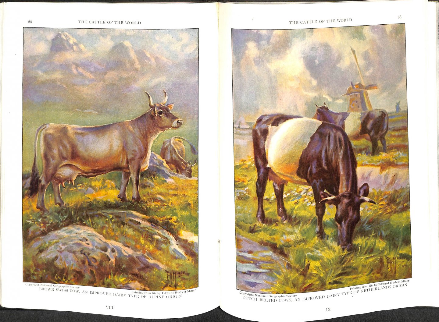 Sanders, Alvin Howard - The cattle of the world. Their place in the human scheme - wild types an modern breeds in many lands