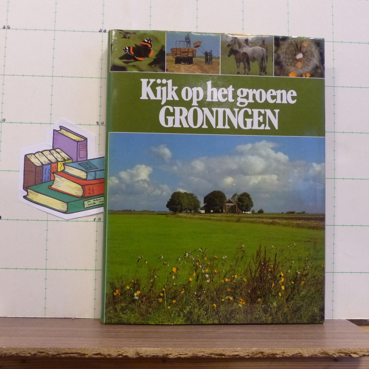 Dijkhuizen, Sietzo - Scherer, Kees - kijk op het groene Groningen