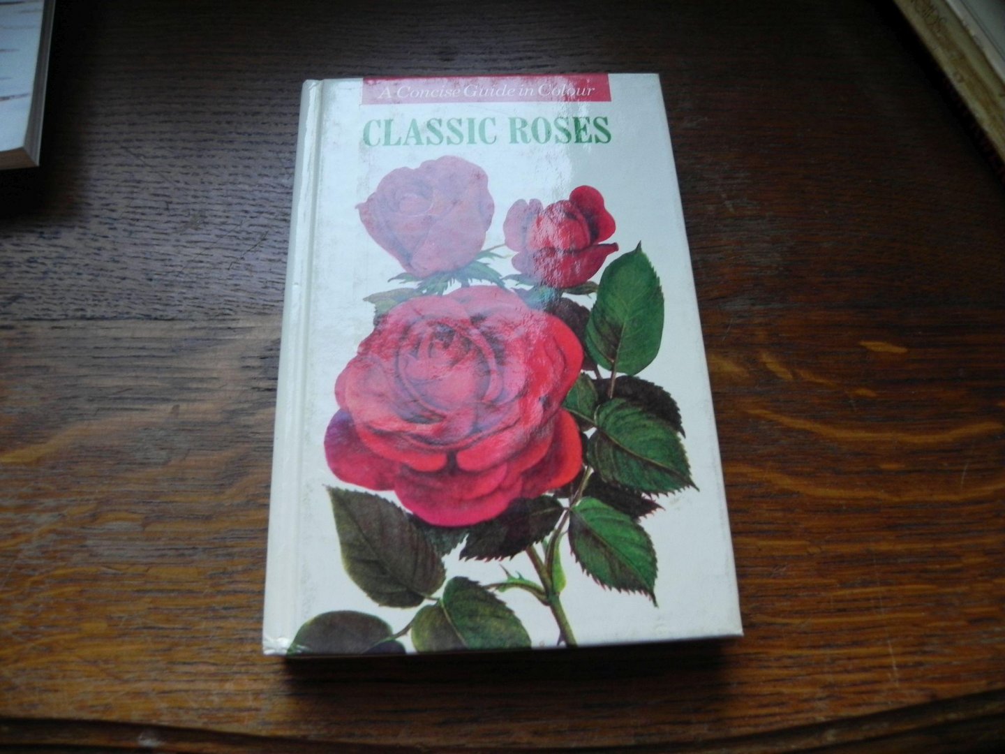 Ludvik Vecera - Classic Roses