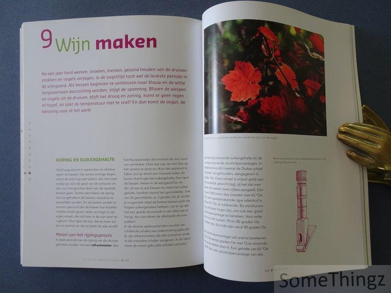 Fred Lorsheijd. - Het nieuwe handboek druiven (Nederland en Vlaanderen).