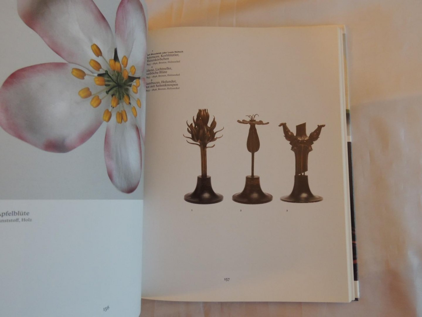 von Dirk Luckow - Petra Gördüren - Dopplereffekt. Bilder in Kunst und Wissenschaft