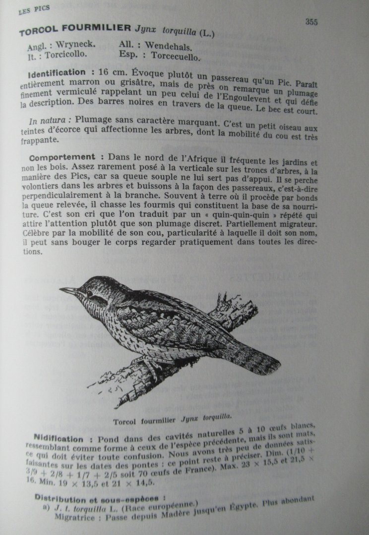 R.D. Etchécopar - F. Huë - Les Oiseaux du Nord de l' Afrique de la Mer Rouge aux Canaries