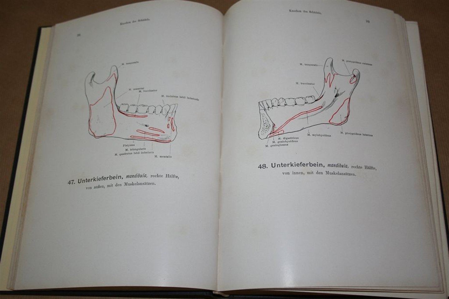 Werner Spalteholz, Wilhelm His - Handatlas der Anatomie des Menschen — Band. 1. Knochen, Gelenke, Bänder — Mit unterstützung von Wilhelm His