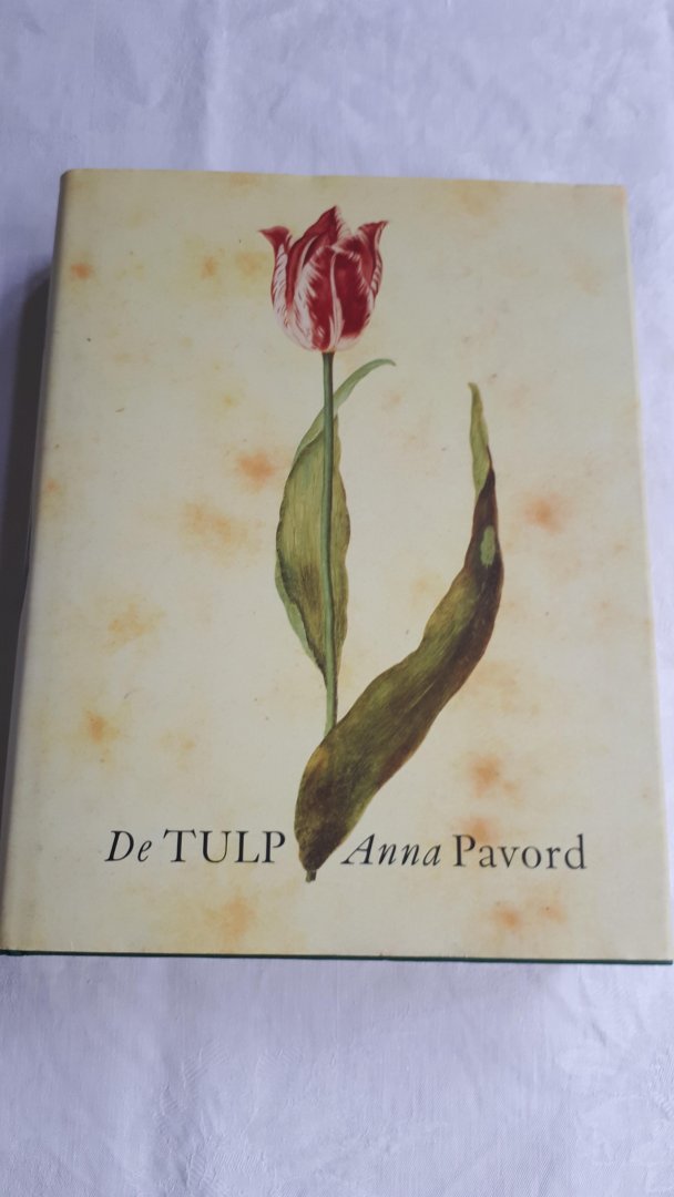 PAVORD, Anna - De tulp