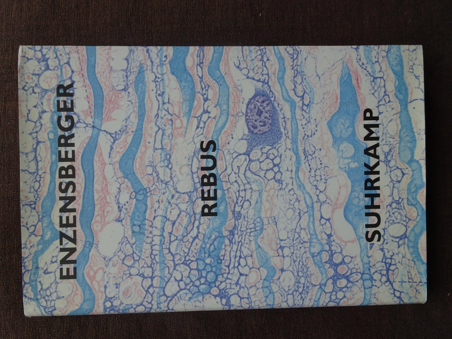 Enzensberger, Hans Magnus - REBUS