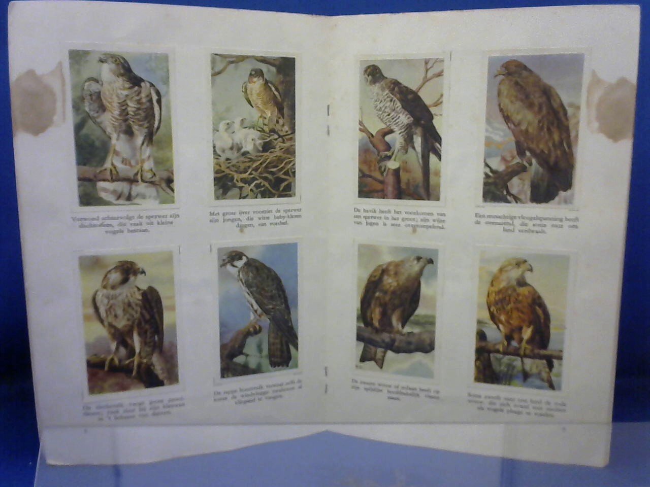 Tolman Rinke/ illustraties Rien Goris - Kromme snavels en scherpe klauwen