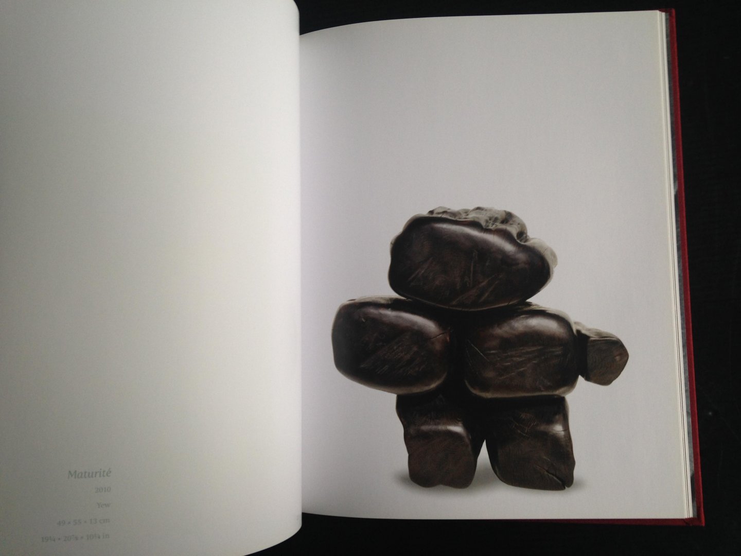  - Catalogus Wang Keping