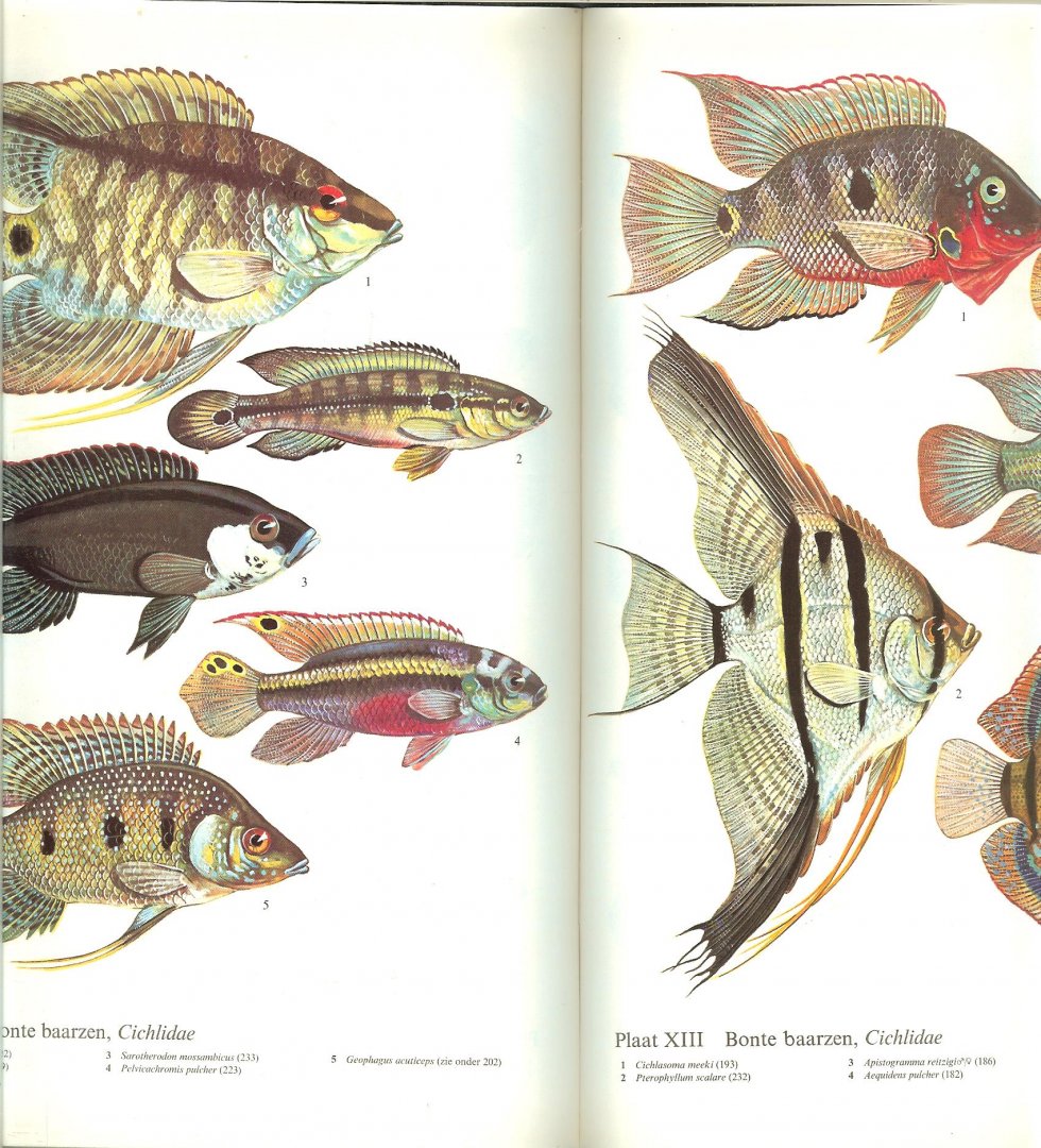 Frey, Hans  en herzien door A. van den Nieuwenhuizen ..   Tekeningen waterplanten Ernst Halwass   Vertaling en bewerking Dr. B Hubert en A. Hubert - de Niet - Het grote Aquariumboek .. Met prachtige foto's  16 platen en heel  veel mooie kleuren foto, vis plezier voor uren