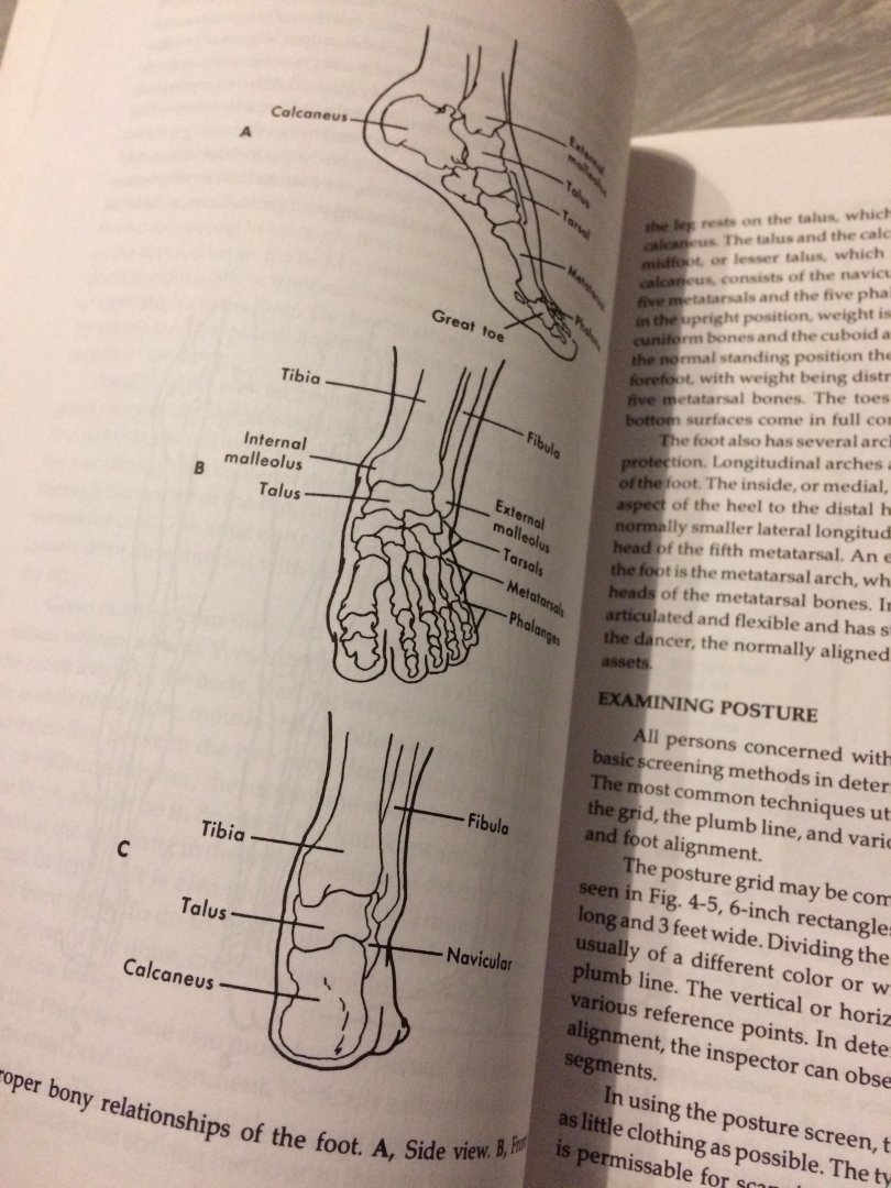 Daniel Arnheim - Dance Injuries