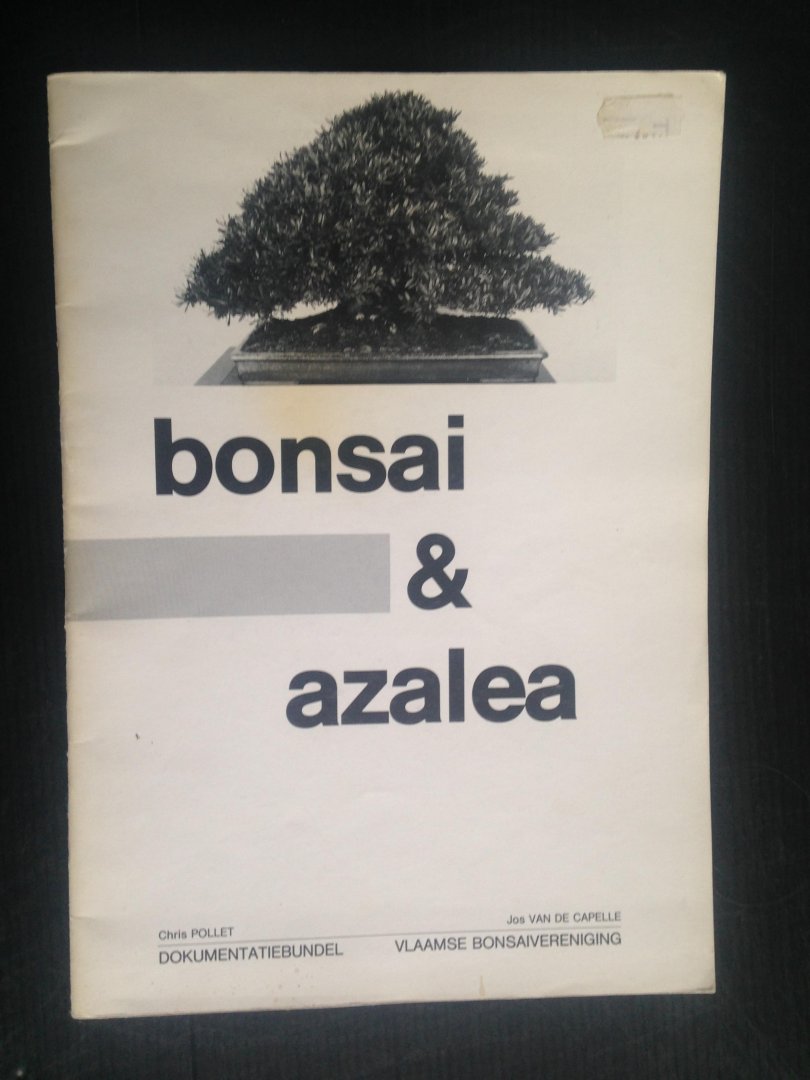  - Bonsai & azalea