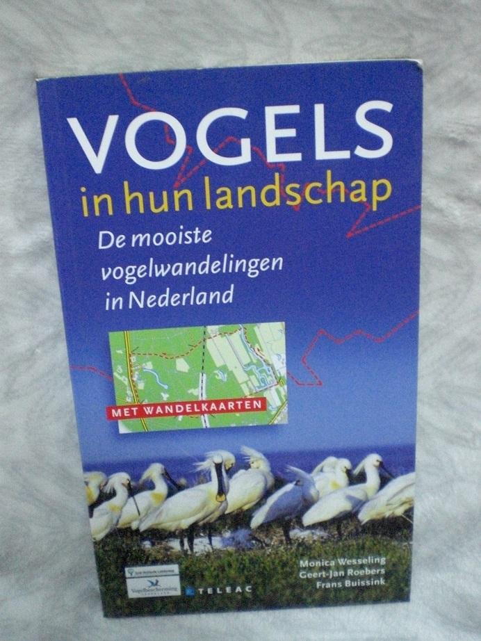 Buissink, F. - Vogels in hun landschap / de mooiste vogelwandelingen in Nederland