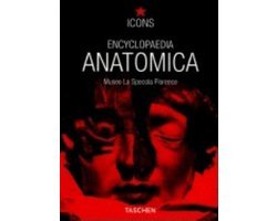 Marta Poggesi - Encyclopedia Anatomica