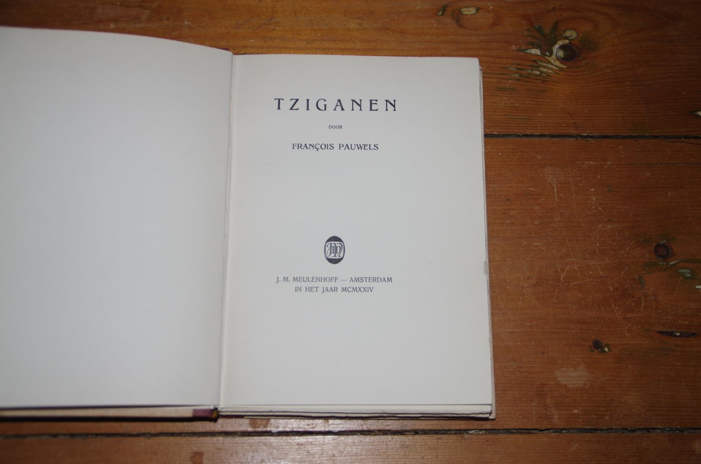 Francois Pauwels - Tziganen