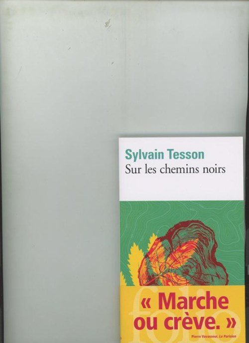 Sylvain Tesson - Sur les chemins noirs