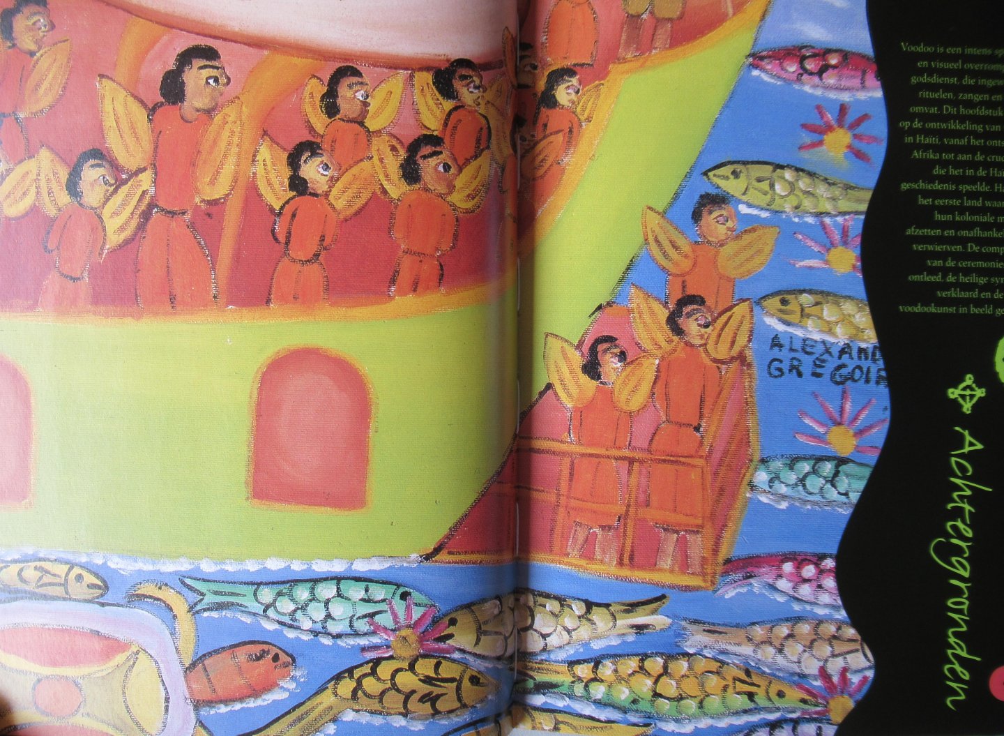 Gordon, Leah - Het voodooboek. Heilzame toverkunst