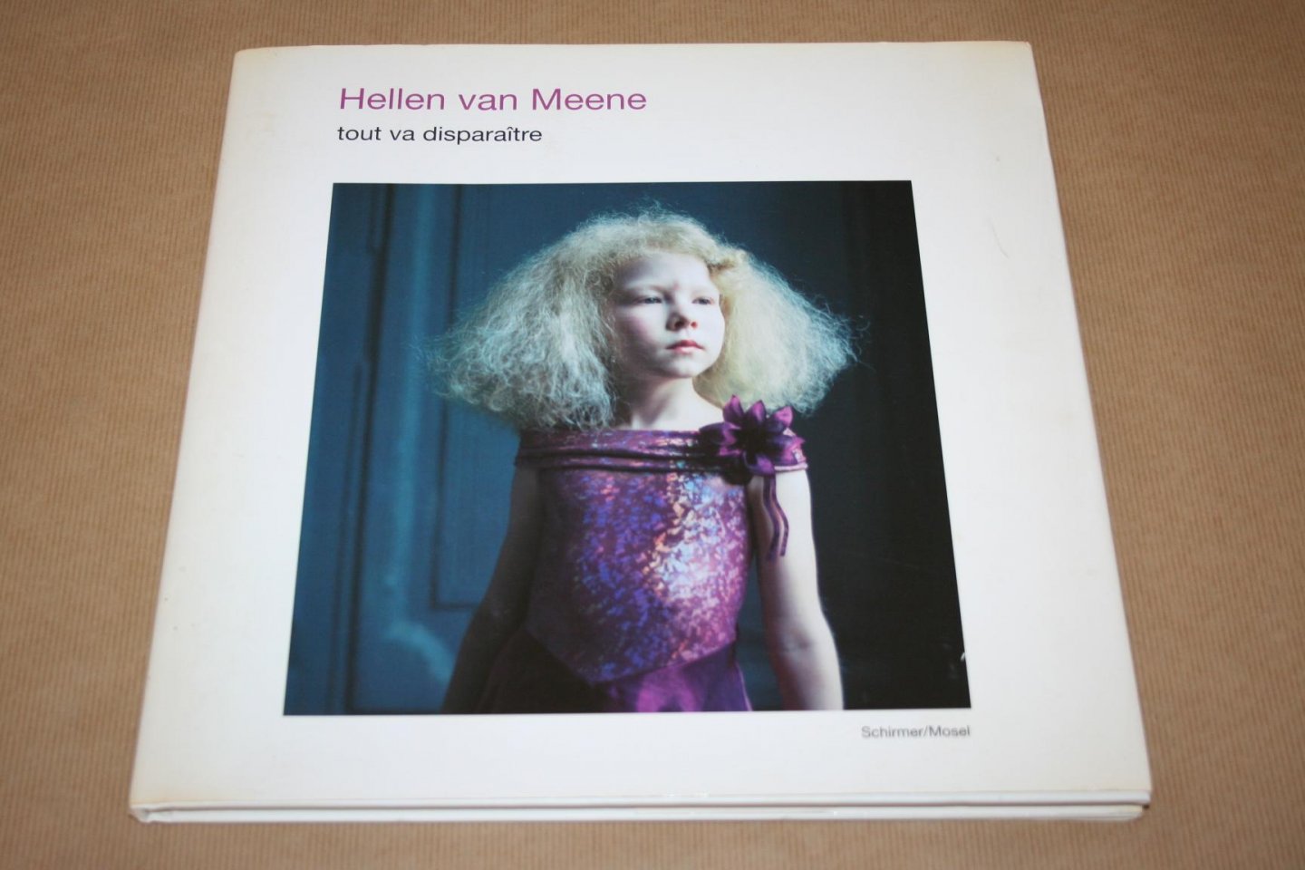  - Hellen van Meene  -- Tout va disparaitre