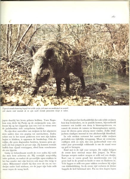 George Jean Met inleidingen en een speciale bijlage 'Het Dieren-ABC'door Jean George. - De wondere wereld der dieren Het grote dierenboek van het beste uit Reader's Digest  in zes delen