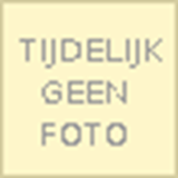 De kitsch van het holisme - een twistschrift over de eenheid van het verhevene, het ware, het goede, het schone ... [etc.]