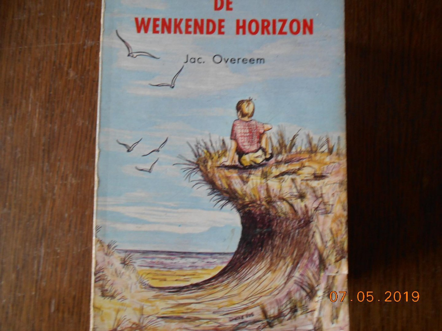 Jac Overeem - De wenkende horizon