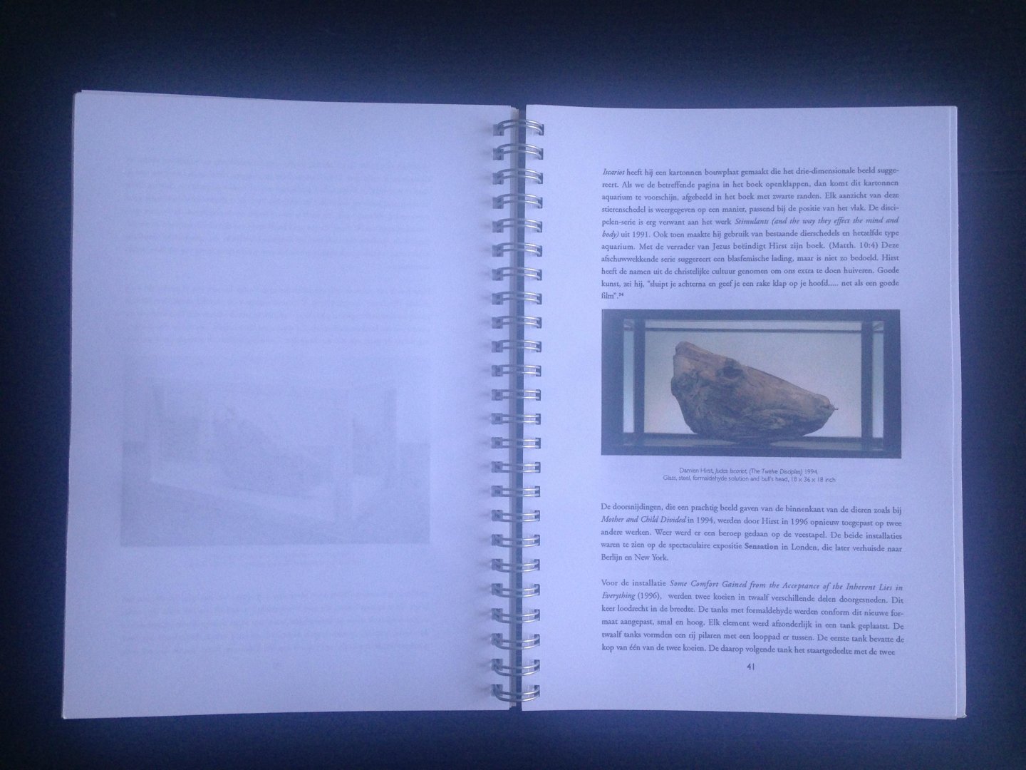 Kroon, Puck - Koketteren met de dood, Een studie van de ‘dier-installaties’ van Damien Hirst