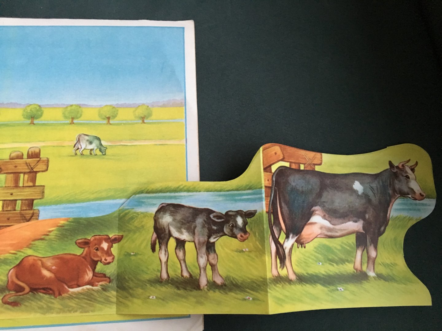 Eshuis, Dick - Dieren op de boerderij (paard, varken, koe en geit)