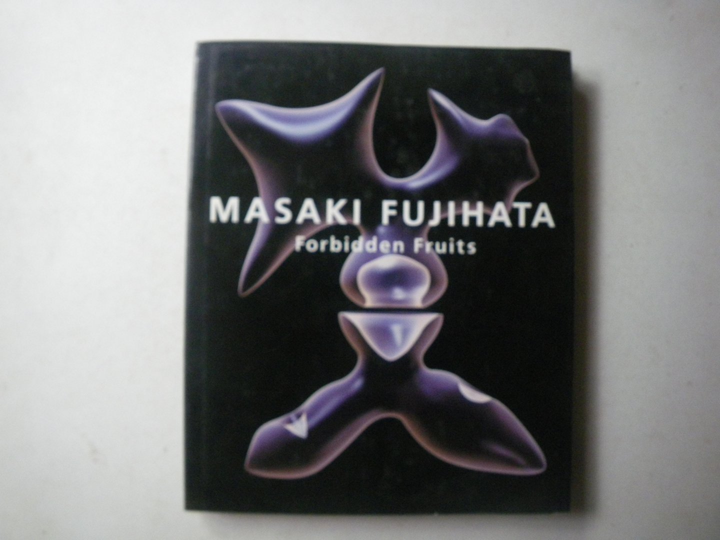 masaki fujihata - Masaki Fujihata: Forbidden Fruits